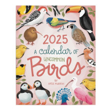 2025 A Calendar of Uncommon Birds - Bird Watcher Monthly Wall Calendar Paper Calendar Organizing & Planning