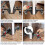 Heavy Duty Door Panel Trolley with 360º Rotating Rollers for Door Panel Easy Installation 2