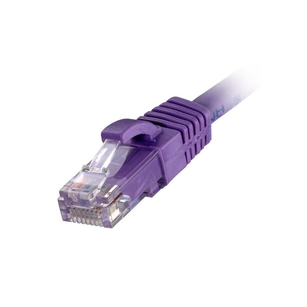 Cablenet 1.5M Cat6 Rj45 Violet U/Utp Lsoh 24Awg Snagless Booted Patch Lead (Pk 100) 5056750343961