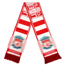 (Arsenal) 5PCS Soccer Team Logo Warm Scarf  Fan Fleece Scarf