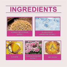 (1 box) Vaginals Care Capsules For Women, Bee Venom Natural Repair Vaginal Capsules, Instant Anti-itch Detox Products