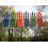 BiB Washing Line Clothes Peg Strong - 40 Pack 1
