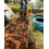 Rolawn Landscaping Bark Bulk Bag 3