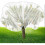 Large Fruit Tree Netting Bags with ZipperNetting for Trees from 1