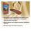 (Medium (7 - 8½)) (Large (9 - 10½)) FootActive NATURE 3/4 Length insoles 3