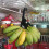 Kitchen Wall Door Metal Hook Key Hanger Cat Tail Monkey Shaped Decor Holder Clothes Storage Rack Seamless Hook Tool 3