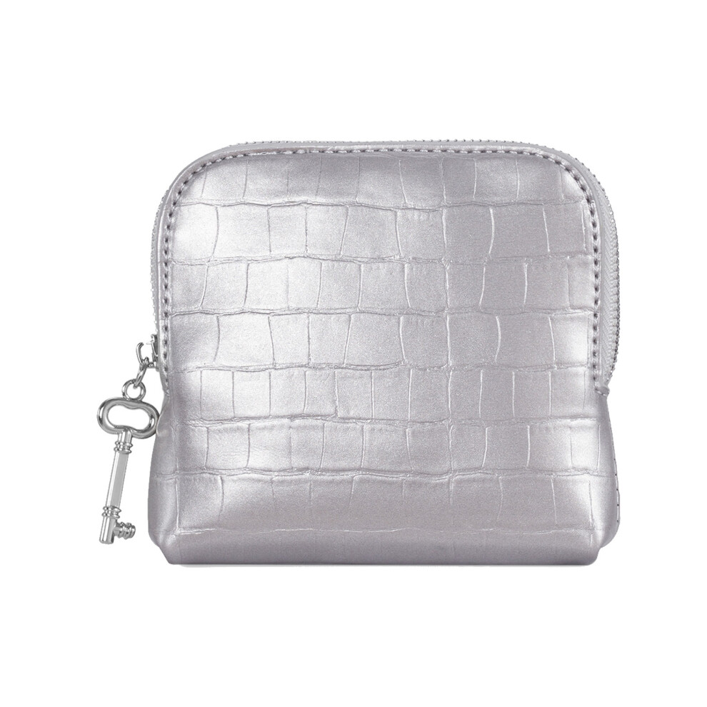 Fashionable Mini Purse With Inner Dividers For Cosmetics And Small Items Silver