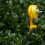 Fishing Line Spooler With Unwinding Technology For Outdoor Use 8