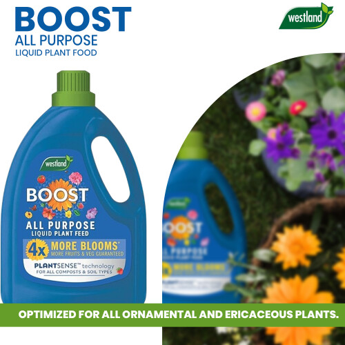 Westland Westland Boost All Purpose Liquid Plant Feed 3L 2