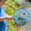 Portables Telescopic Handle Dragonflies Catching Net Catching Butterfly Net 7