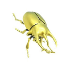 Realistic Simulated Insect Wind Up Toy For Kids Educational Fun Play And Outdoor Gold