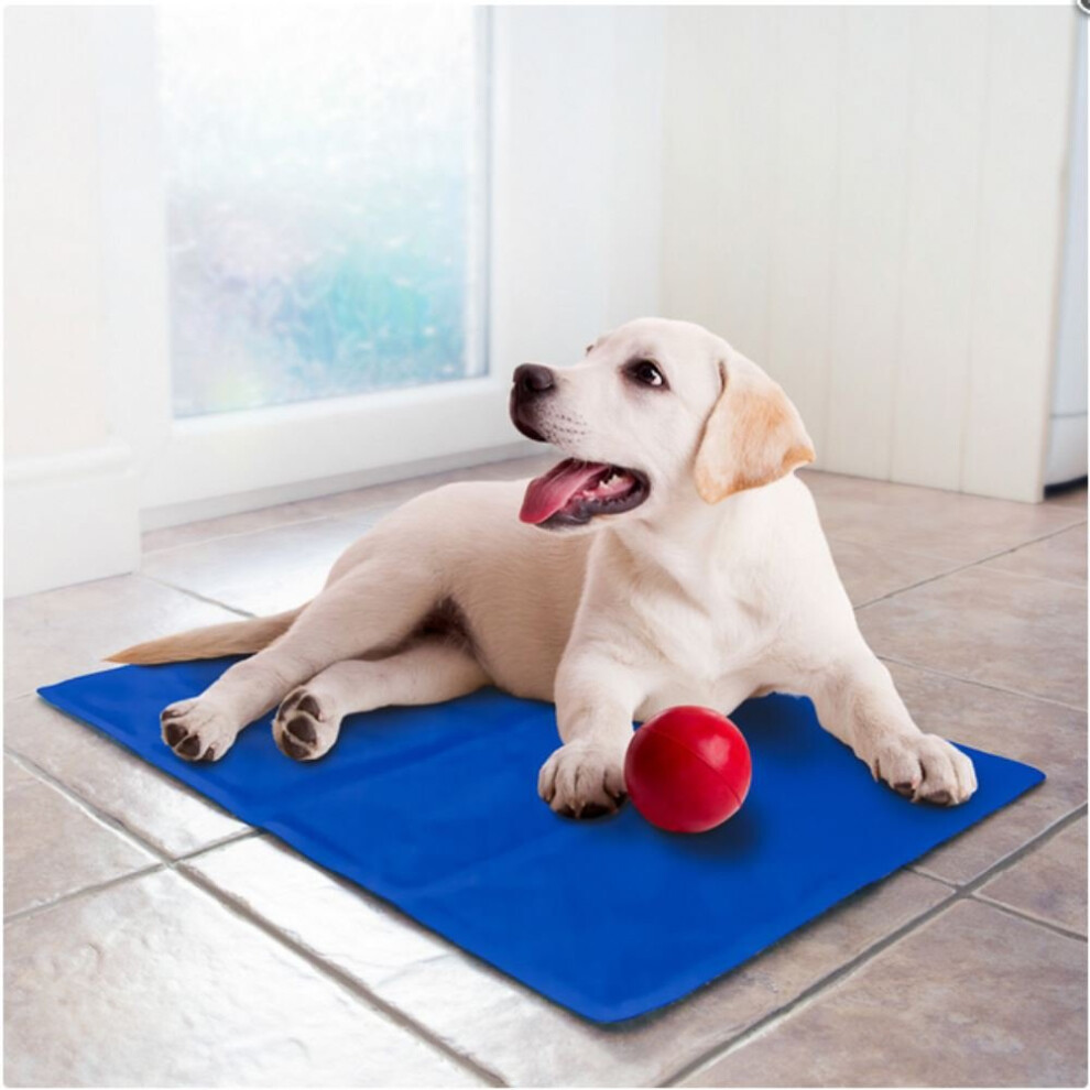 Thebigship Pet Dog Cat Cooling Mat 5060398693401