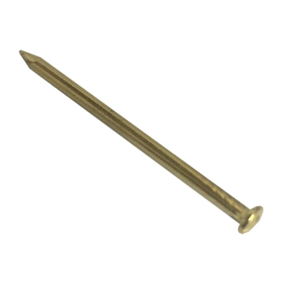 Fort Fasteners Picture Pins, 25Mm (1 Inch) Electro Brassed Premier 20 Pins 5057670038869