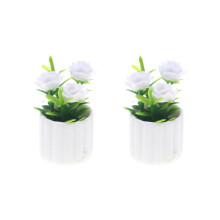 2Pcs Miniature Houseplant Model Figurine Furniture For 1/12 Doll House White rose round
