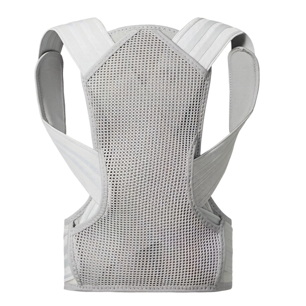 Steel Bone Postures Corrector With Breathable Meshes Fabric For Office Worker Gray S