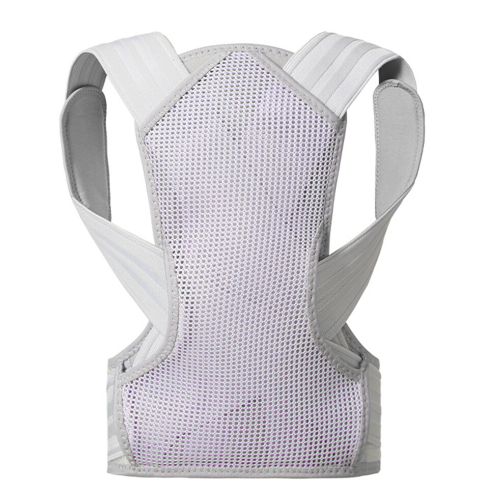 Steel Bone Postures Corrector With Breathable Meshes Fabric For Office Worker Purple S
