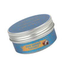Car Mounted Fragrances Solid Perfum Air Freshener Scents Diffuser for Home Room COCONUT