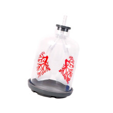 Educational Diaphragm Movement Model Demonstrating Human Lung Gas Transparent color