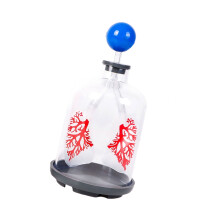 Interactive Respiratory Demonstrator Diaphragm Action and Pulmonary Exchange Dribbling
