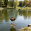 Triangular Fishing Net With Extendable Handle Durability Fishing Landing Net 2.1 meters 11