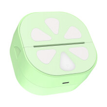 Mini Photo Printer Thermally Portable Printers Stickers Paper Inkless Wireless Green