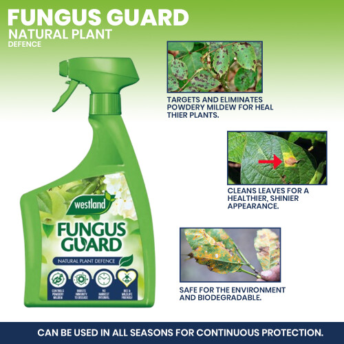 Westland Westland Fungus Guard Disease Control RTU 800ml 2