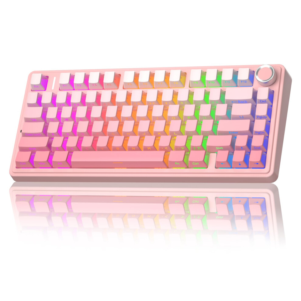Aula F75 Silent Mechanical Gaming Keyboard,2.4G/Usb-C/Bt5.0,Gasket Structure,Translucent Keycaps,Side Engraved,Rgb Backlight,Hot Swappable Custom Key 5000895087976