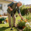 Simple Transport Extending Walking Aid Including double holds And Motion Absorption 9