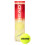 HEAD HEAD Championship 4 ball Tennis Balls 1