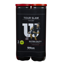 TOUR SLAM TBALL 4 BALL CAN
