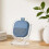 Modern Clear/Black Mount For Dedicated Wireless Sound Device TM 9