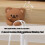 Compact Desktop Wire Organizers PVC SelfAdhesive Mounting Cable Holder Clips brown bear 7