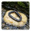 3pack Locking Climbing Carabiners-UIAA CE Certified 25kN Auto Locking 5