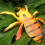 4PCS Simulation Insect Figures PVC Model Figurine for Kids Science Education B 5