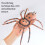 4PCS Simulation Insect Figures PVC Model Figurine for Kids Science Education B 6