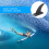 Zocipro 9 Inch Removable Universal Surfboard SUP Fin with Base, Detachable Cente 6