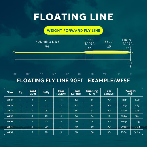SF Fly Fishing Floating Line with Welded Loop Weight Forward Fly 1