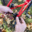 WELDTITE Chain Keeper for Bikes, Black, 2