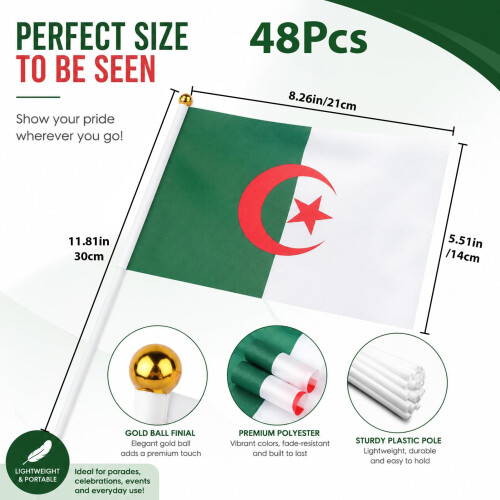 48 Nations World Cup Hand Held Flags on Sticks, Double Sided 2