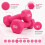 Neoprene Dumbbells Set Hex Anti Roll Coated Hand Weights for Men & 4