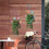 Umbrella Shaped Wall Hanging Flower Basket Fuchsia 6