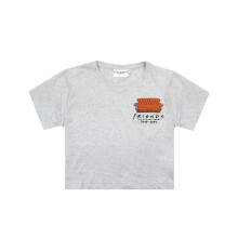 (M, Grey Marl) Friends Womens/Ladies Central Perk Sofa Crop T-Shirt