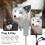 SD/TF/MS/CF/XD Card Reader Memory Stick Pro Duo Adapter - Multi Memory Card Reader Supports Micro SD/SD/Compact Flash/XD Picture Card, Lightning+USB 5