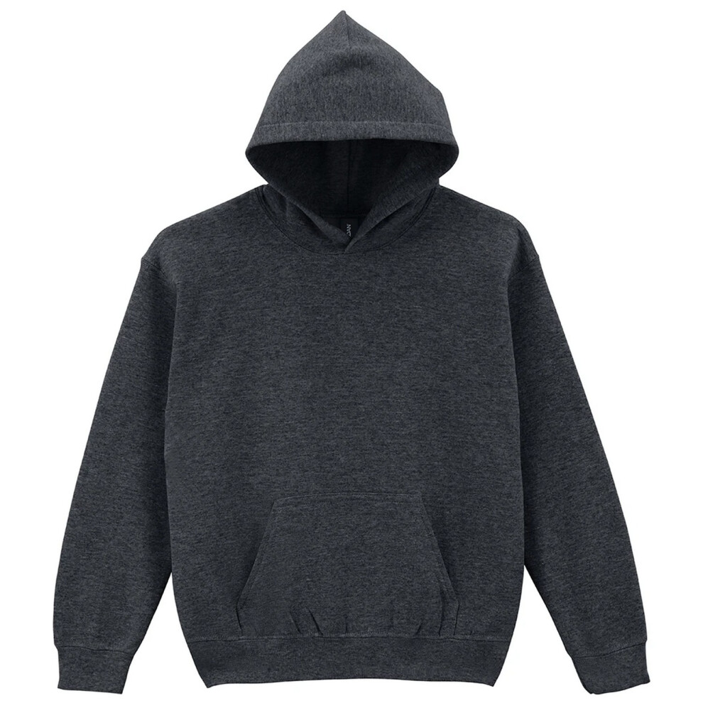 Gildan (5-6 Years, Fan Charcoal Heather) Childrens/Kids Heavy Blend Hooded Sweatshirt