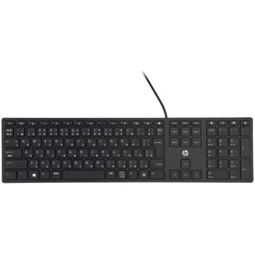 HP HP 320K keyboard USB Black 1
