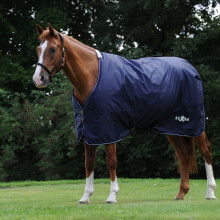 (6' 6", Navy/White) Saxon Defiant Standard-Neck Lightweight Horse Turnout Rug