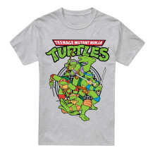 (XL, Sport Heather) Teenage Mutant Ninja Turtles Mens Group T-Shirt