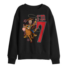 (12-13 Years, Black) Toy Story Childrens/Kids I'm 7 Woody Birthday Sweatshirt