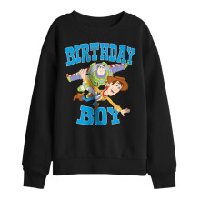 (9-11 Years, Black) Toy Story Childrens/Kids Woody & Buzz Lightyear Sweatshirt