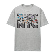 (XXL, Athletic Grey) Teenage Mutant Ninja Turtles Womens/Ladies TMNT NYC Heather T-Shirt